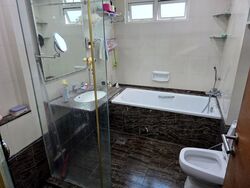 Butterworth 8 (D15), Condominium #576334611